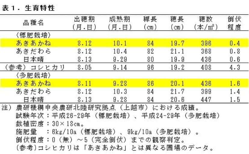 あきあかね