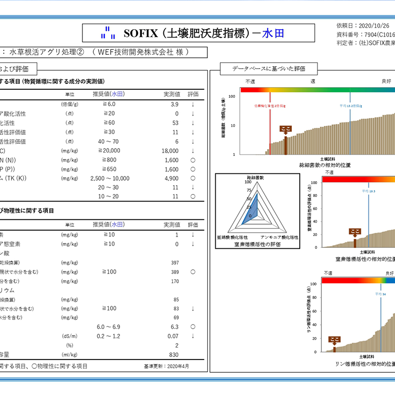 土壌分析結果